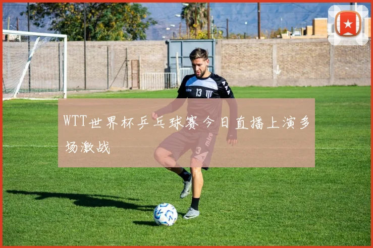 WTT世界杯乒乓球赛今日直播上演多场激战
