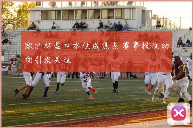 欧洲杯盘口水位成焦点 赛事投注动向引发关注