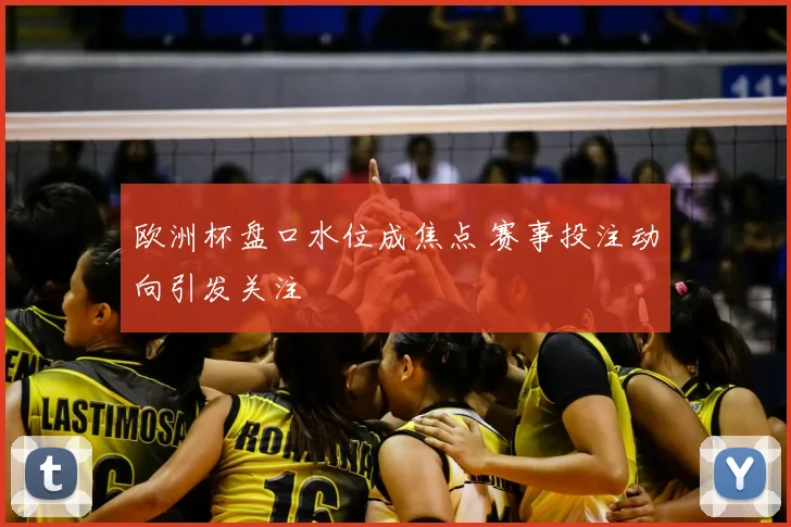 欧洲杯盘口水位成焦点 赛事投注动向引发关注