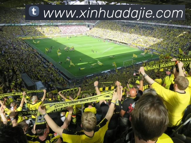 kaiyun「中国大陆」云开·门户网站 - 官方网站|登录入口服务体系